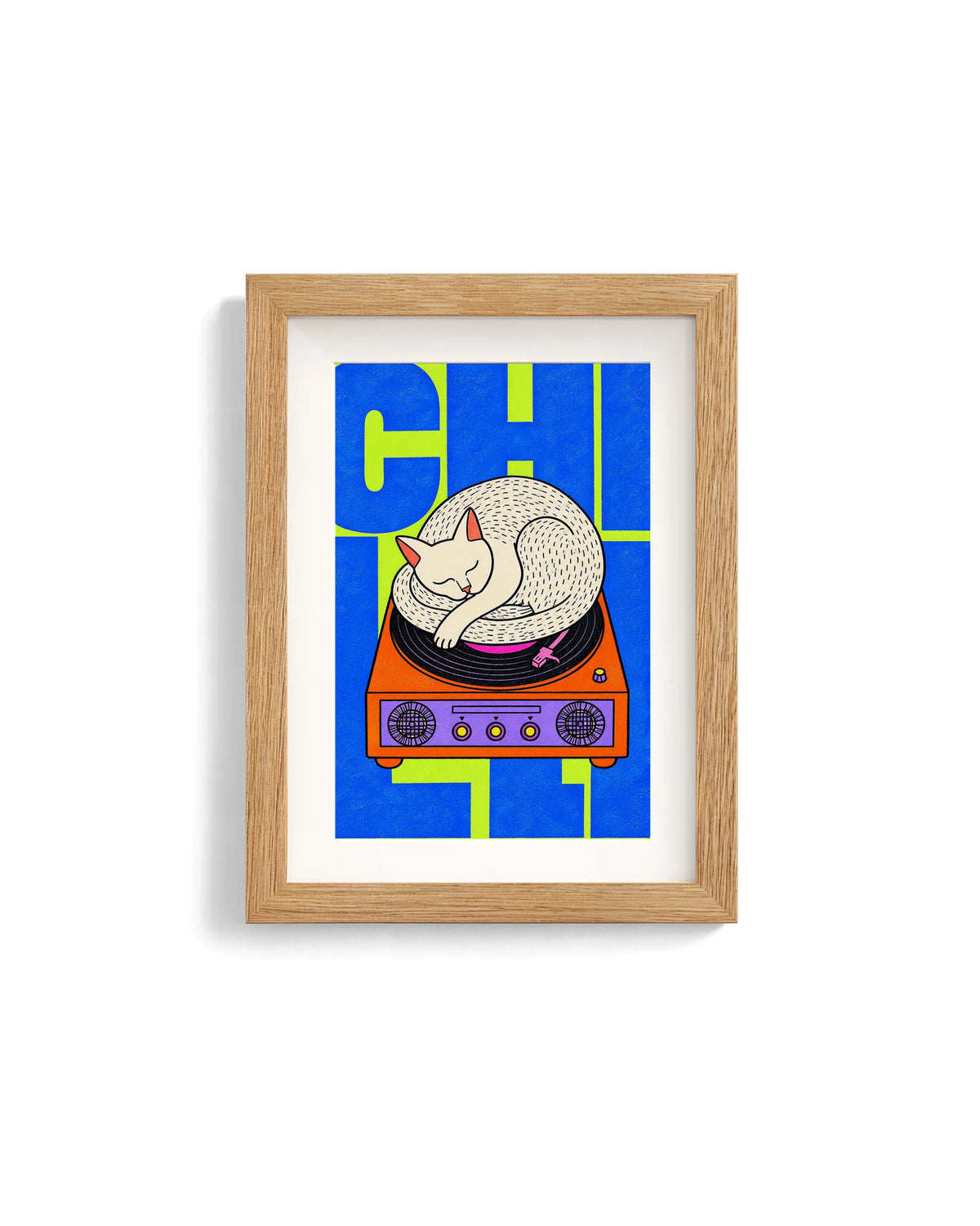 Animali da Disco – Gatto lime e blu