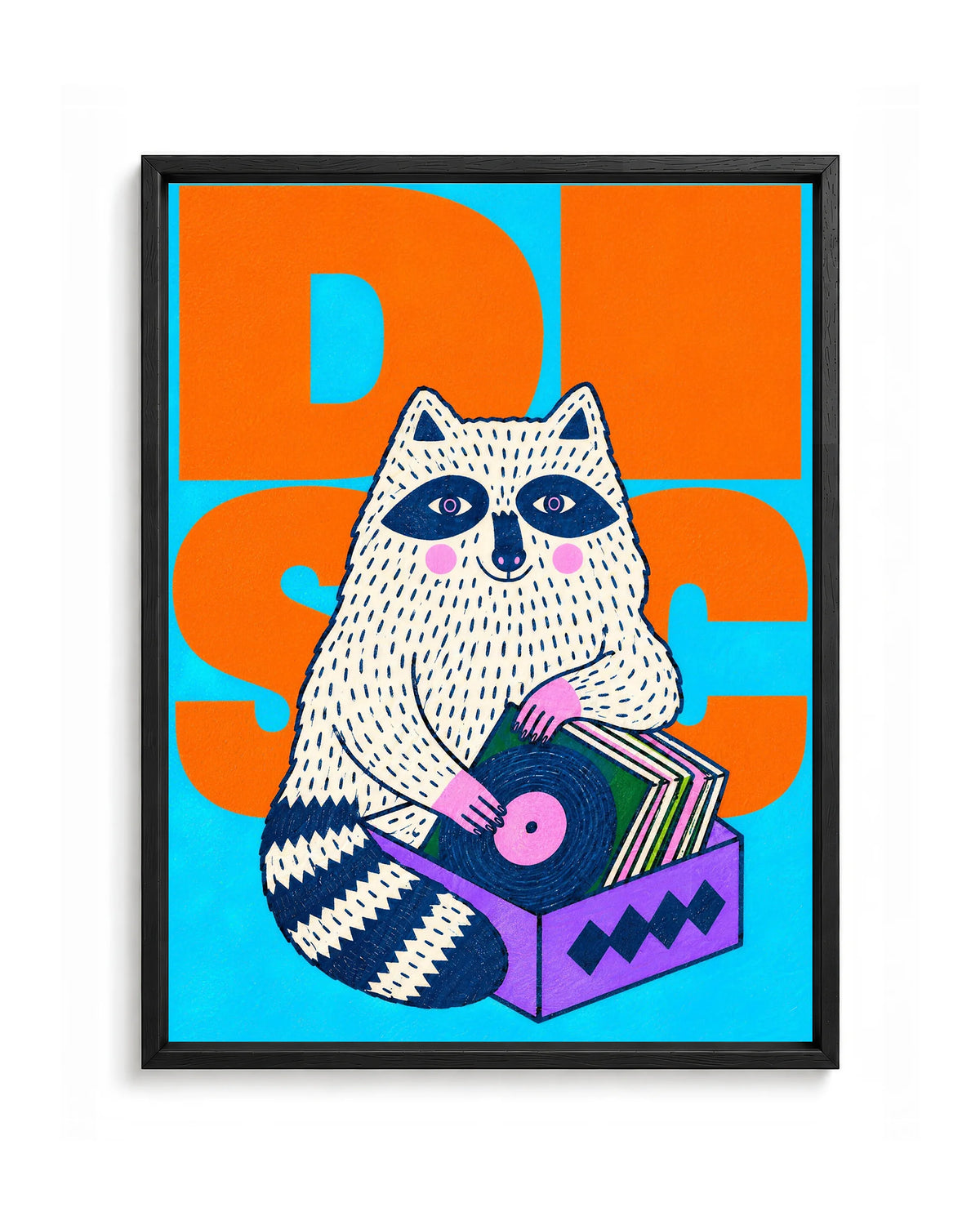 Animali da Disco – Procione