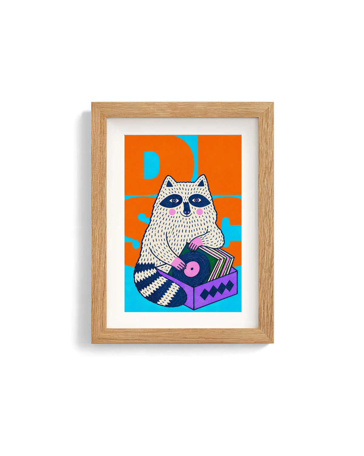 Animali da Disco – Procione