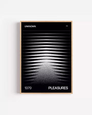 1979 – Unknown Pleasures